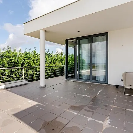 Oliveiras Villa Barrocalvo